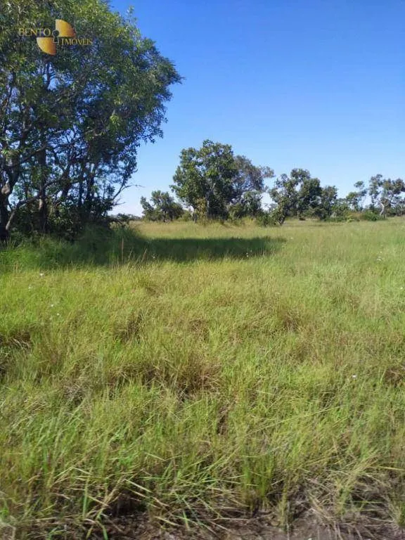 Farm for sale of 19,768 acres in Luciara, MT, Brazil