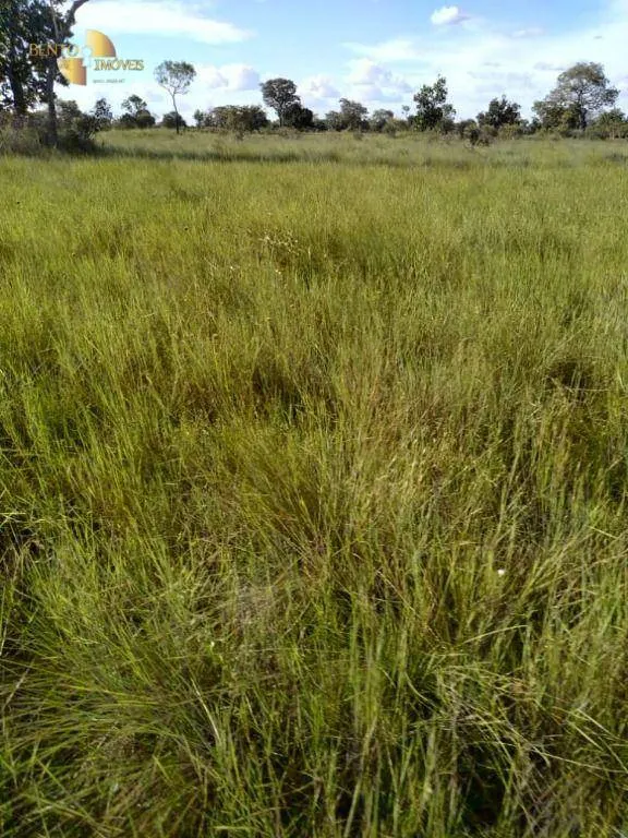 Farm for sale of 19,768 acres in Luciara, MT, Brazil