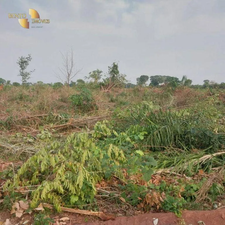 Farm for sale of 19,768 acres in Luciara, MT, Brazil