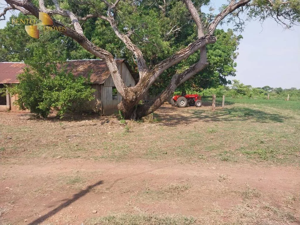 Farm for sale of 19,768 acres in Luciara, MT, Brazil