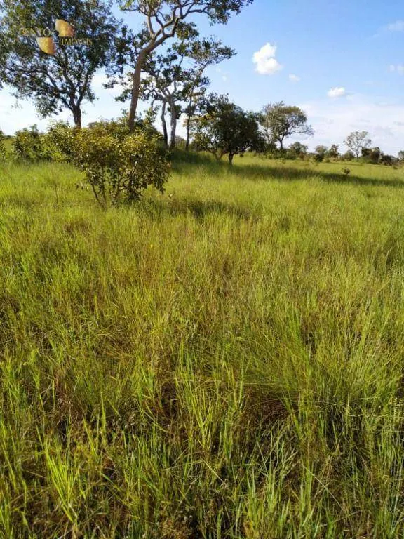 Farm for sale of 19,768 acres in Luciara, MT, Brazil