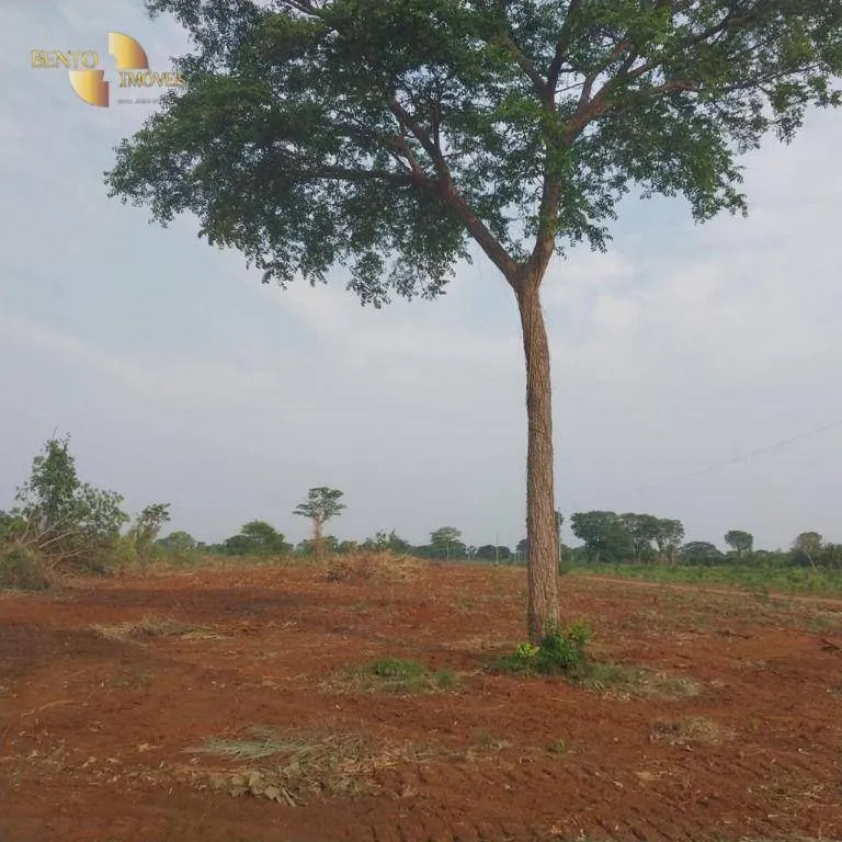 Farm for sale of 19,768 acres in Luciara, MT, Brazil