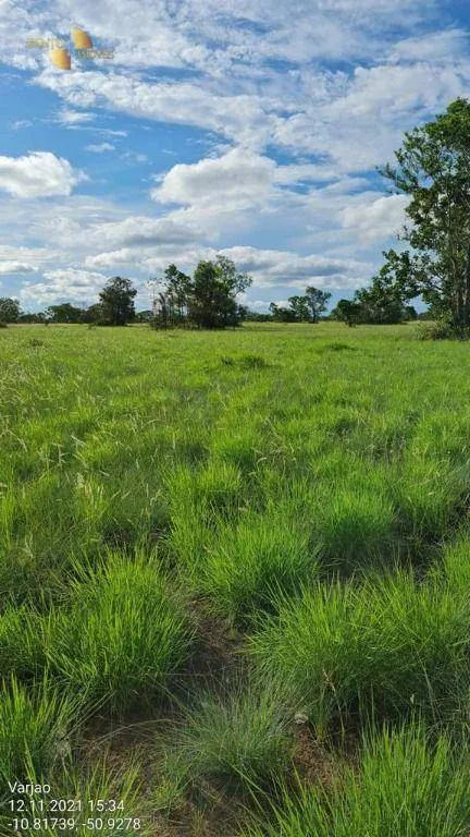Farm for sale of 19,768 acres in Luciara, MT, Brazil