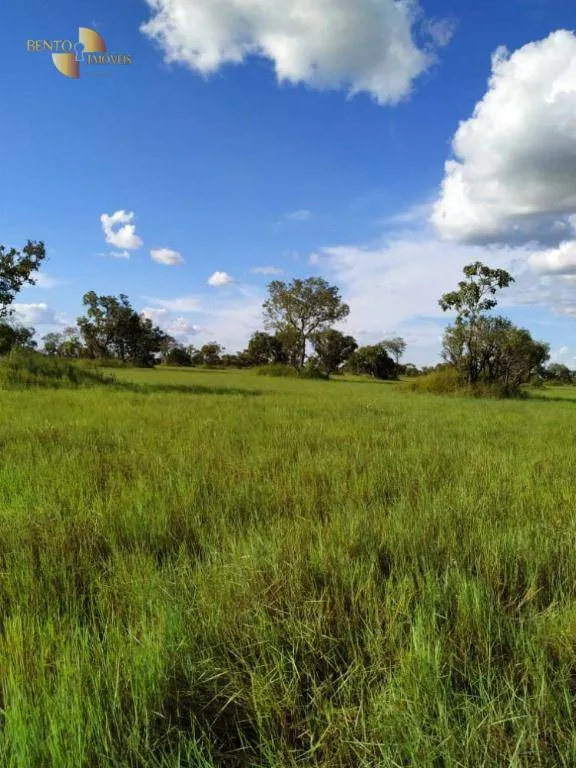 Farm for sale of 19,768 acres in Luciara, MT, Brazil