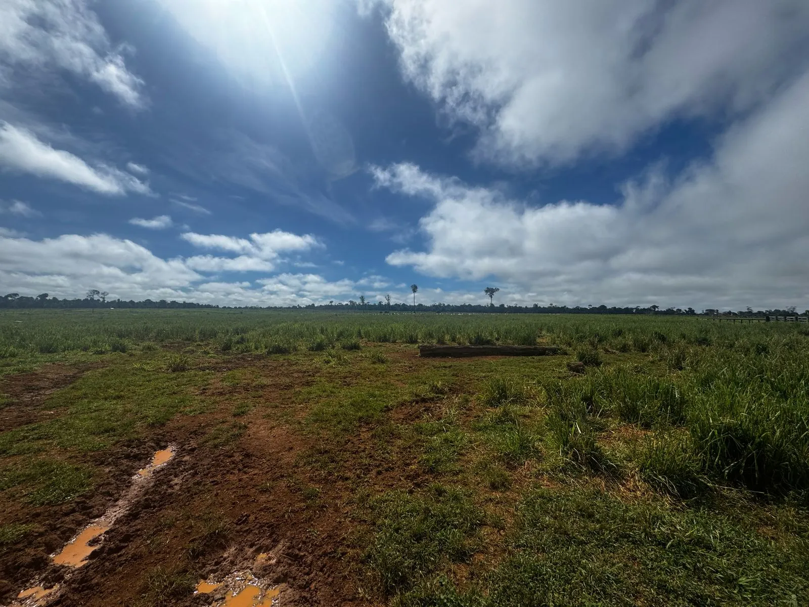 Fazenda à venda de 456 ha em Alta Floresta, MT, Brasil