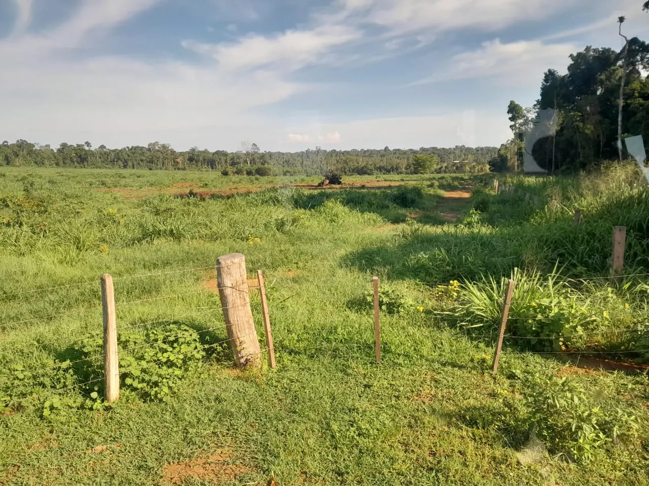 Fazenda à venda de 456 ha em Alta Floresta, MT, Brasil