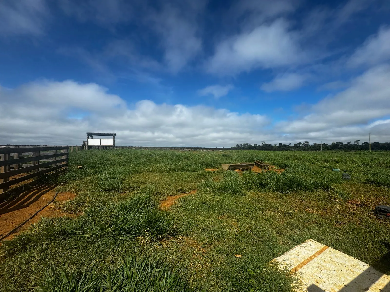 Fazenda à venda de 456 ha em Alta Floresta, MT, Brasil