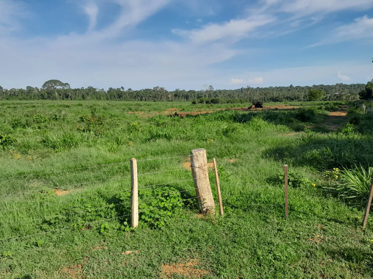 Fazenda à venda de 456 ha em Alta Floresta, MT, Brasil