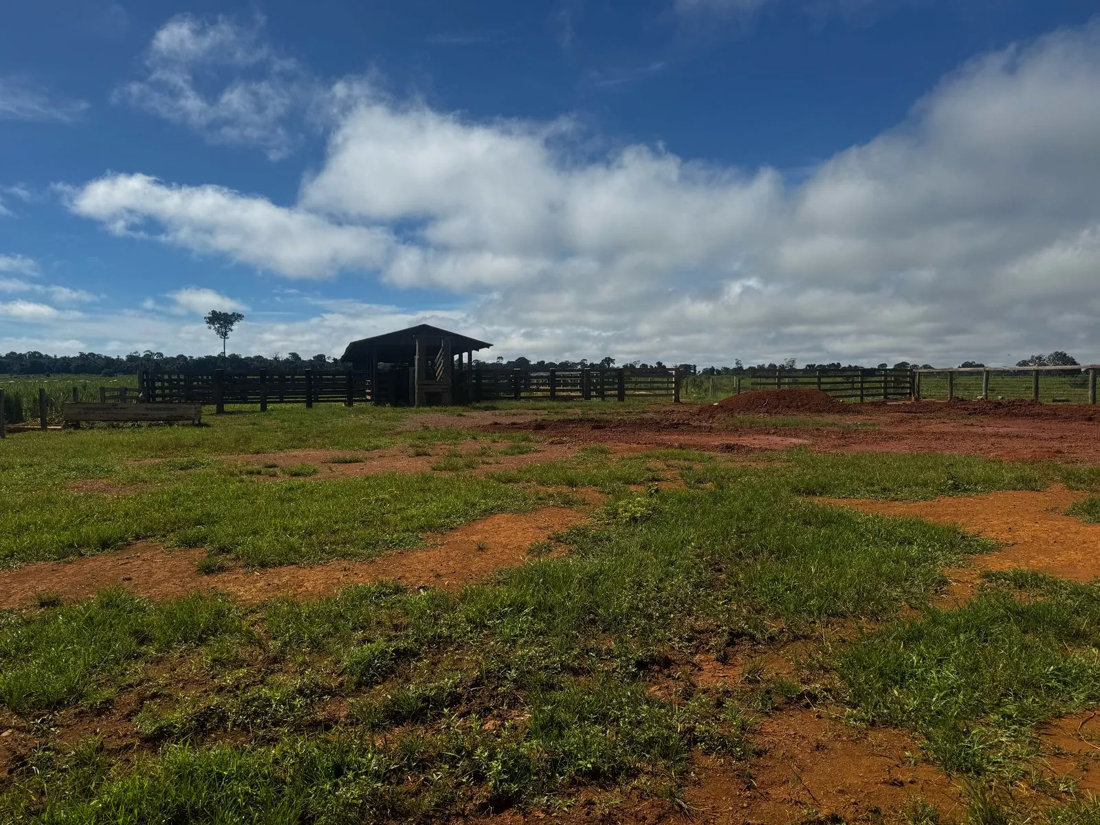 Fazenda à venda de 456 ha em Alta Floresta, MT, Brasil