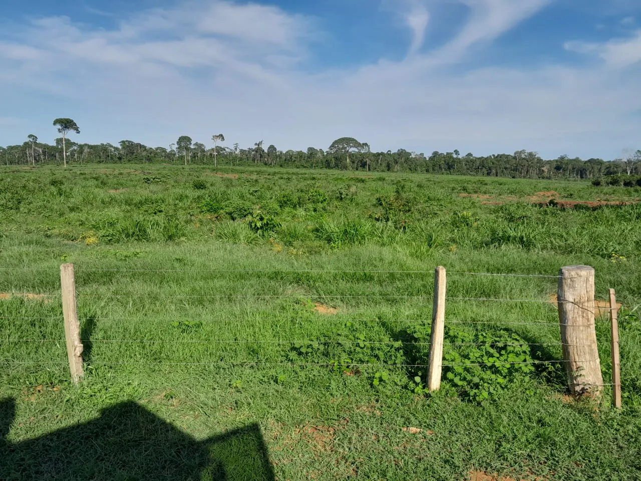 Fazenda à venda de 456 ha em Alta Floresta, MT, Brasil