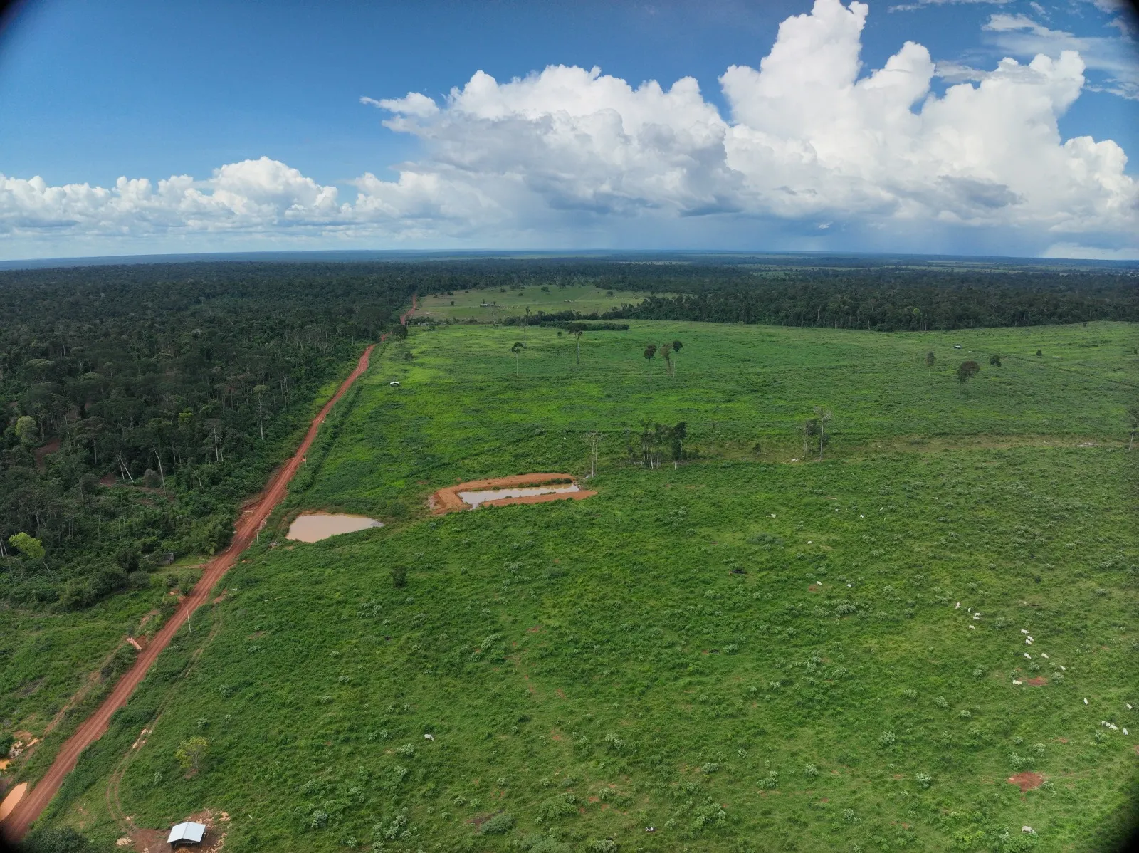 Fazenda à venda de 456 ha em Alta Floresta, MT, Brasil