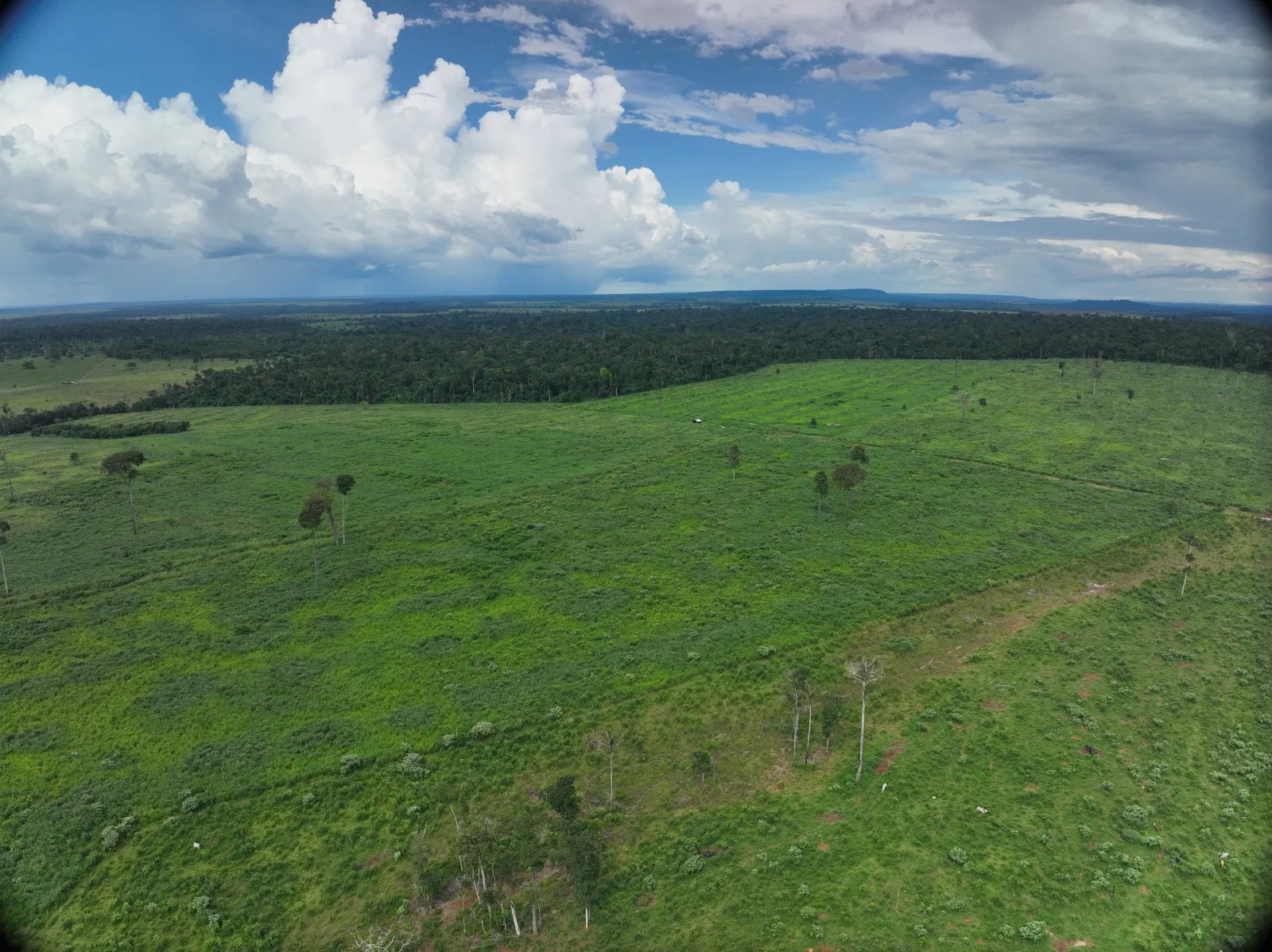 Fazenda à venda de 456 ha em Alta Floresta, MT, Brasil