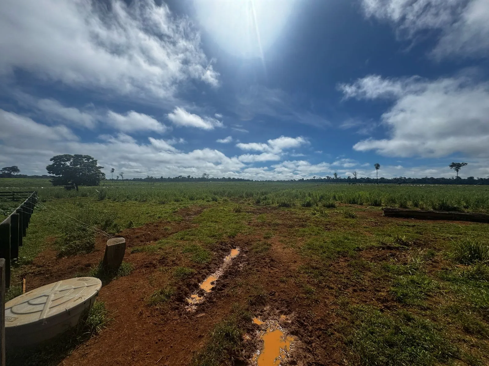 Fazenda à venda de 456 ha em Alta Floresta, MT, Brasil