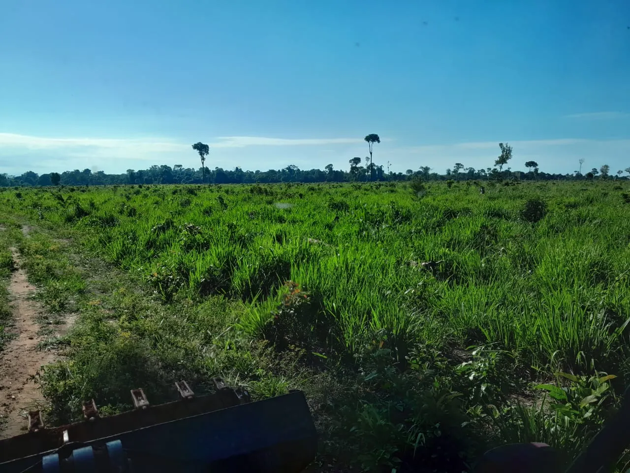 Fazenda à venda de 456 ha em Alta Floresta, MT, Brasil