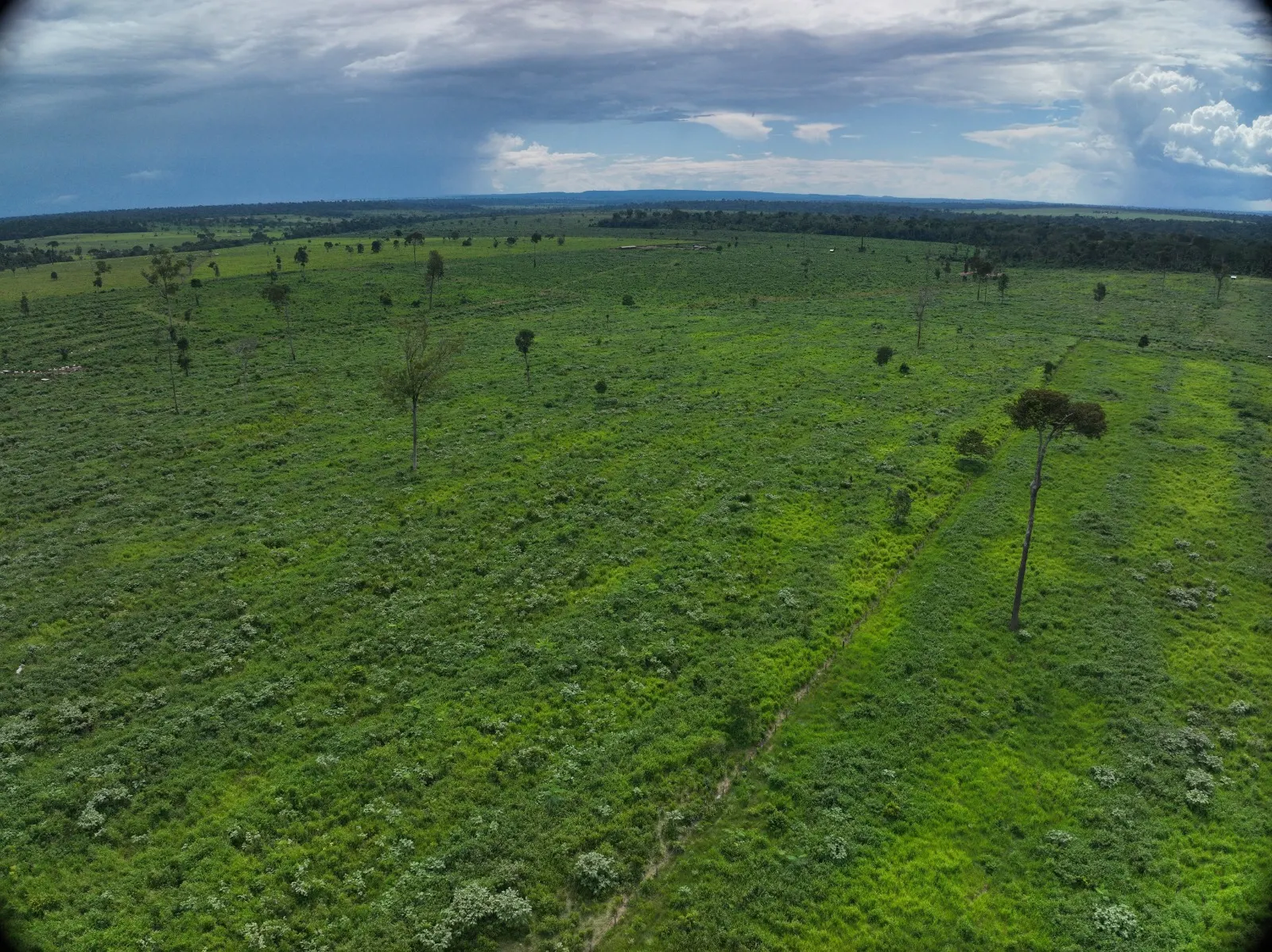 Fazenda à venda de 456 ha em Alta Floresta, MT, Brasil