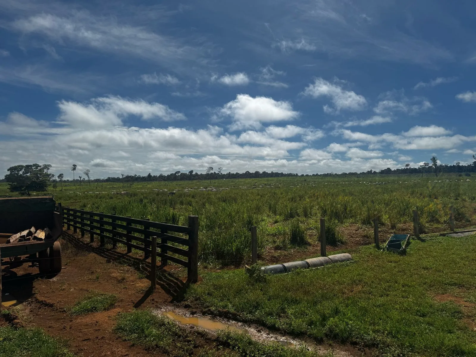 Fazenda à venda de 456 ha em Alta Floresta, MT, Brasil