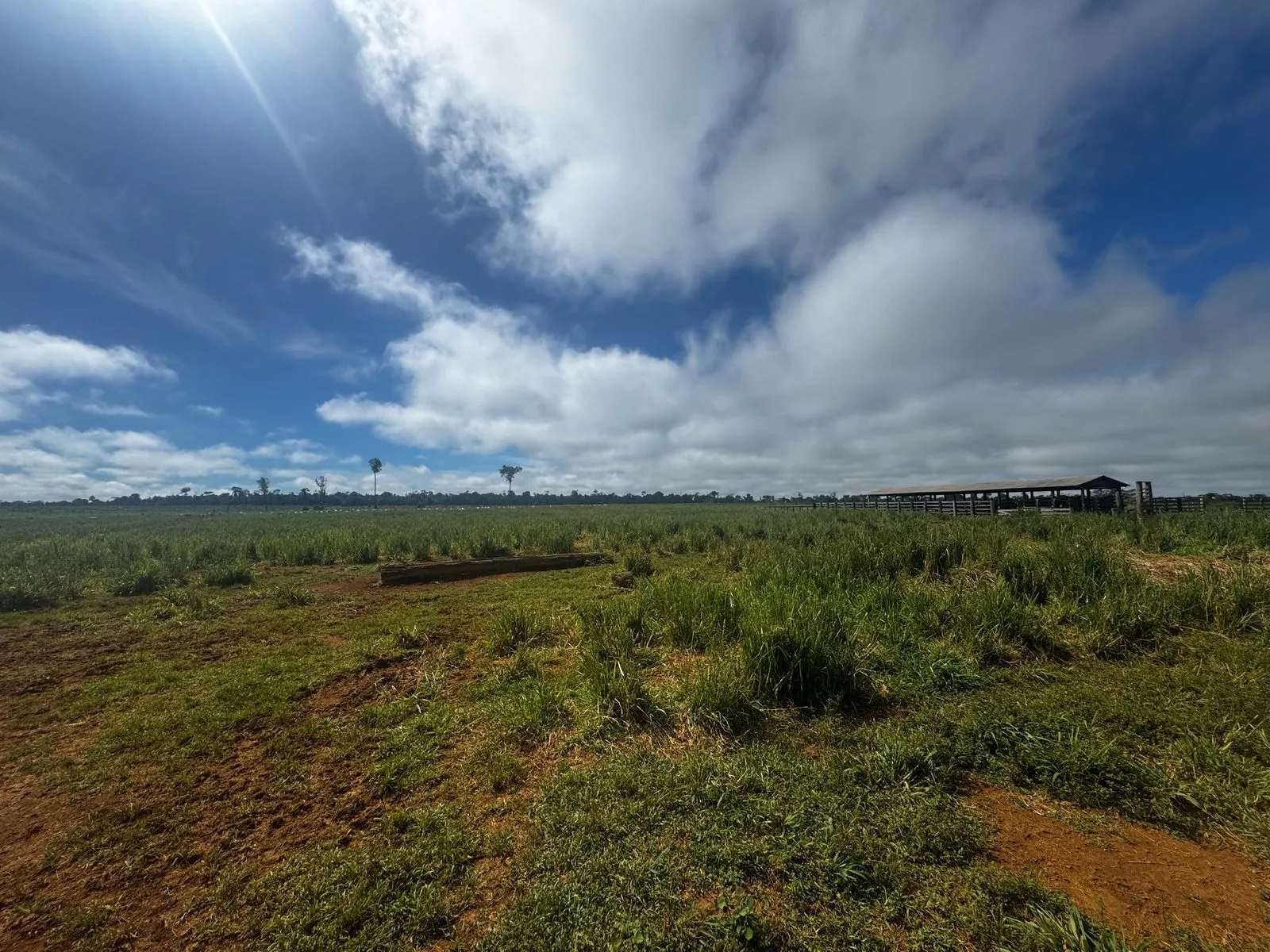 Fazenda à venda de 456 ha em Alta Floresta, MT, Brasil