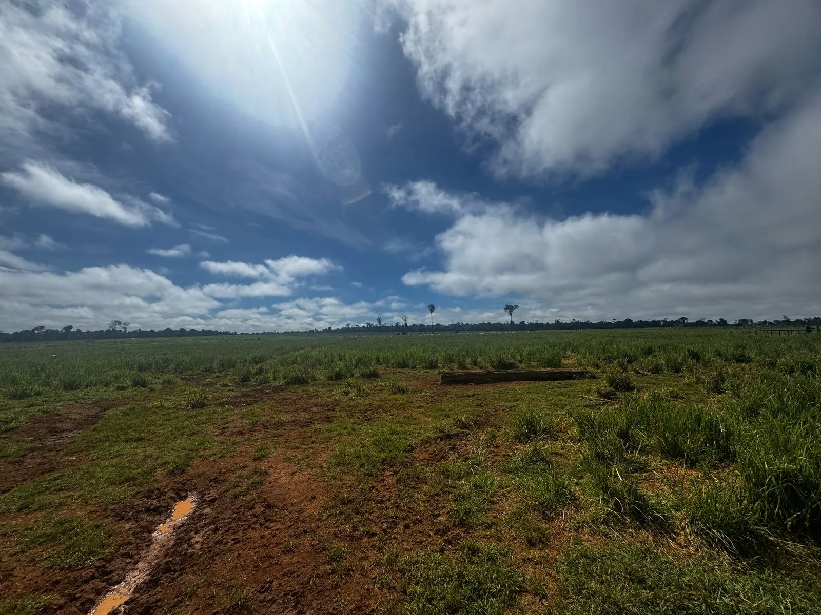Fazenda à venda de 456 ha em Alta Floresta, MT, Brasil