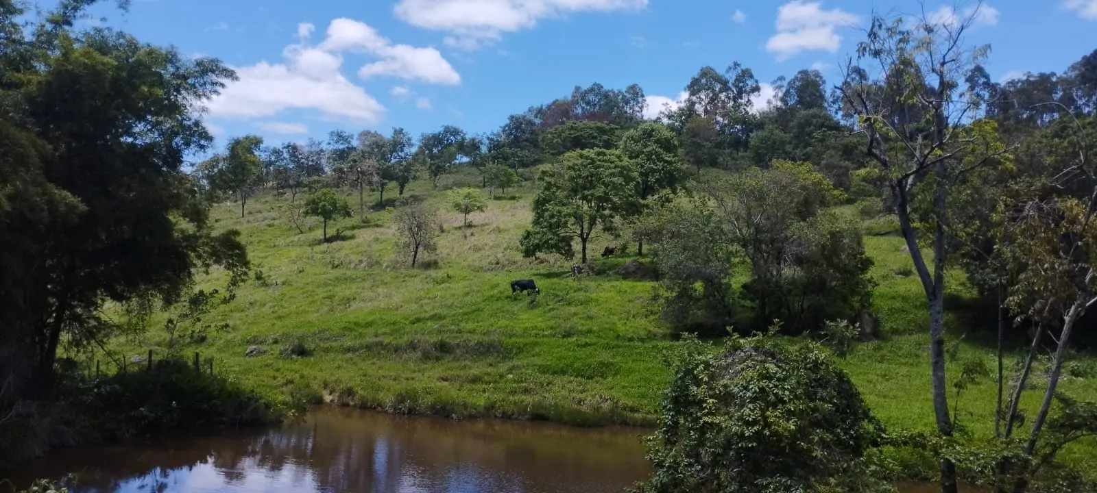 Terreno à venda de 5 ha em Itaguara, MG, Brasil