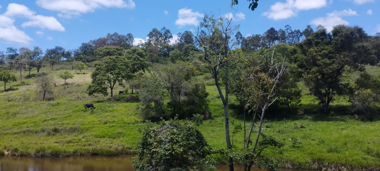 Terreno à venda de 5 ha em Itaguara, MG, Brasil