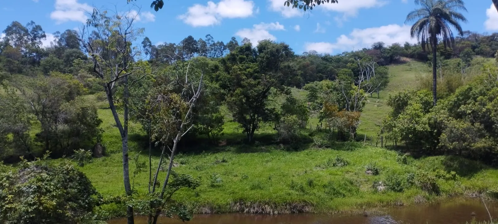 Terreno à venda de 5 ha em Itaguara, MG, Brasil