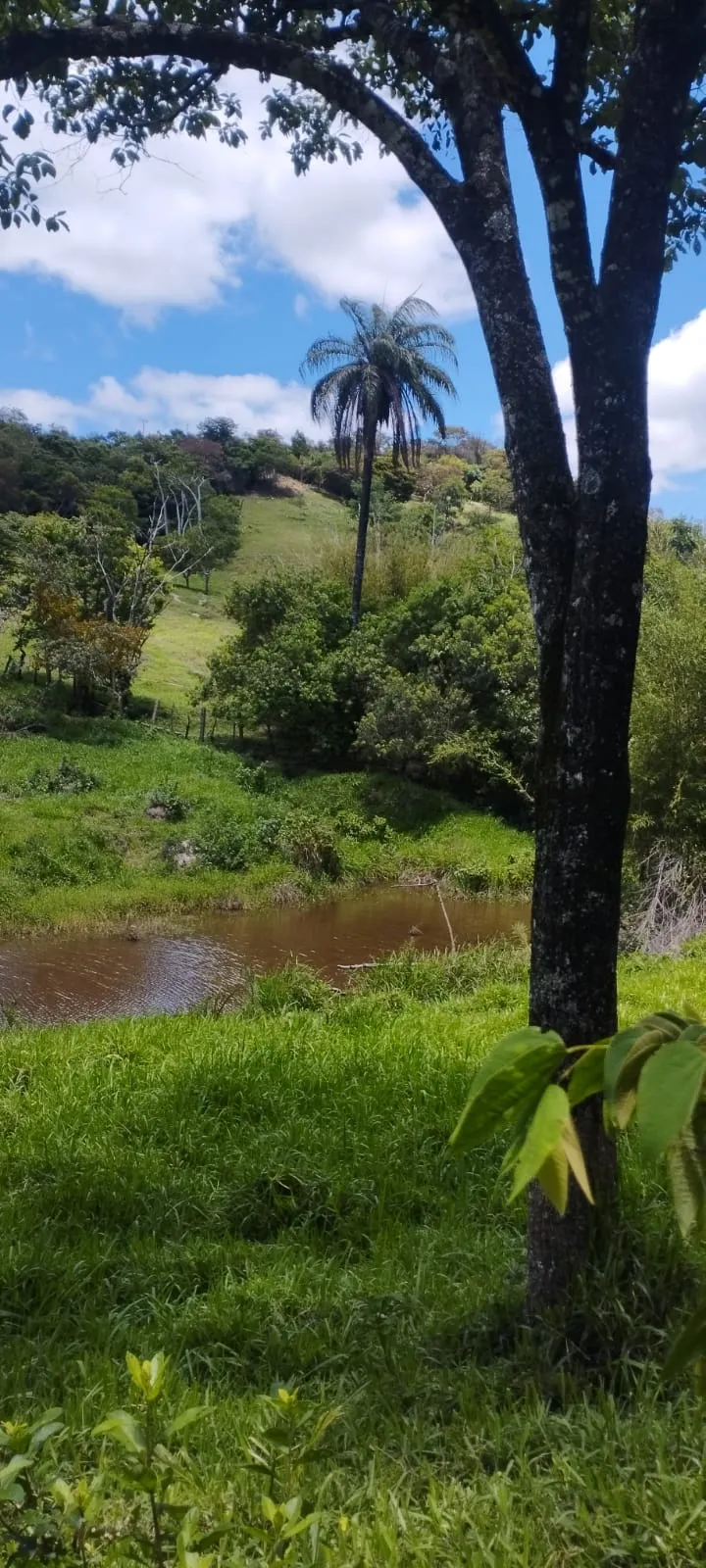 Terreno à venda de 5 ha em Itaguara, MG, Brasil