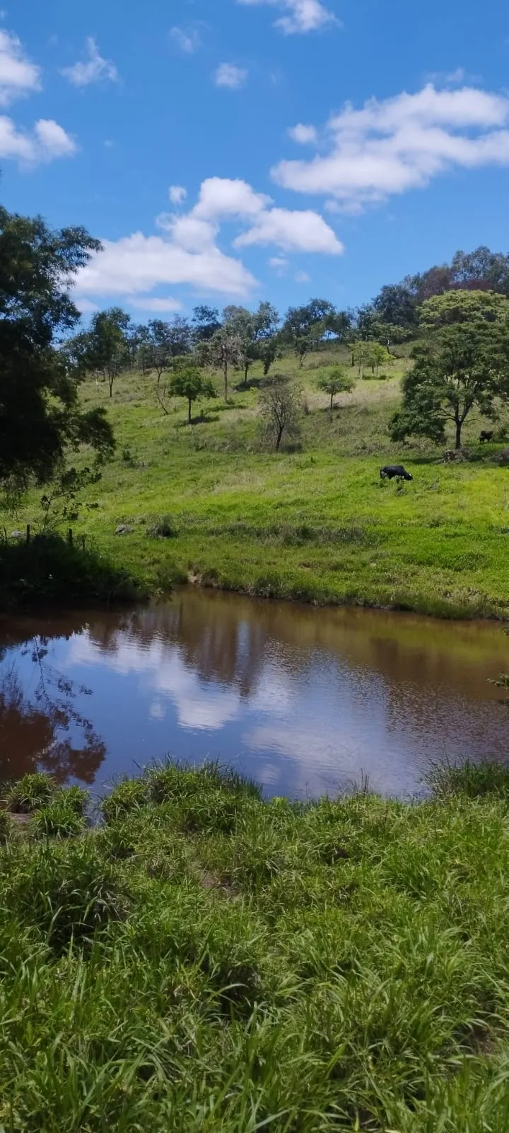 Terreno à venda de 5 ha em Itaguara, MG, Brasil