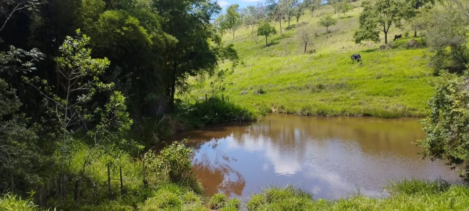 Terreno à venda de 5 ha em Itaguara, MG, Brasil