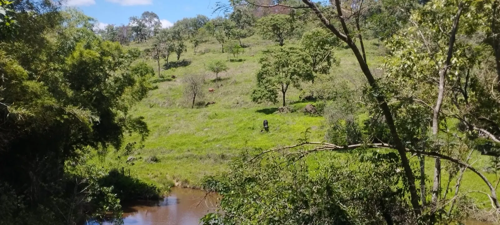 Terreno à venda de 5 ha em Itaguara, MG, Brasil