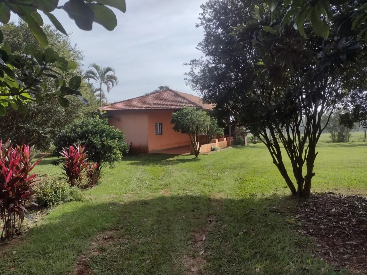 Fazenda à venda de 29 ha em Itapetininga, SP, Brasil