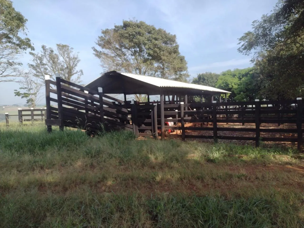 Fazenda à venda de 29 ha em Itapetininga, SP, Brasil