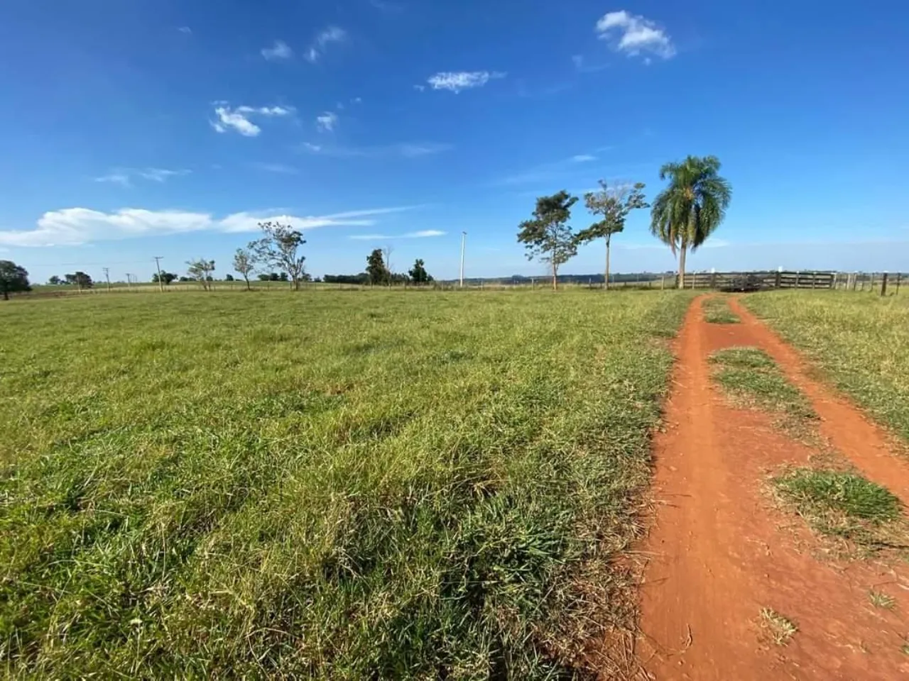 Fazenda à venda de 29 ha em Itapetininga, SP, Brasil