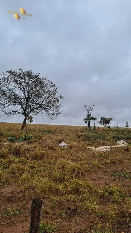 Fazenda à venda de 500 ha em Primavera do Leste, MT, Brasil