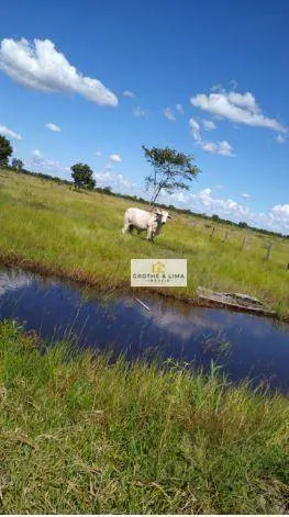 Fazenda à venda de 484 ha em Cocalinho, MT, Brasil