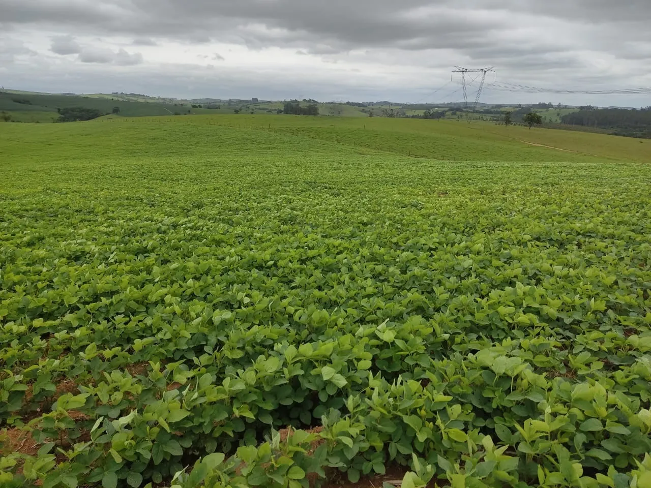 Sítio à venda de 48 ha em Pilar do Sul, SP, Brasil