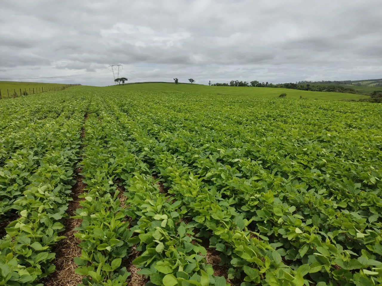 Sítio à venda de 48 ha em Pilar do Sul, SP, Brasil