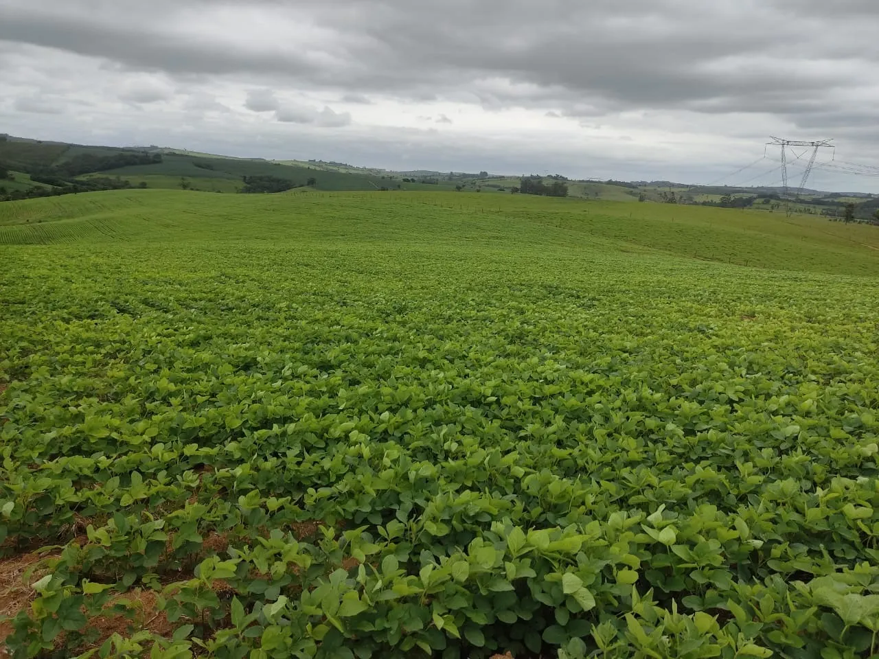 Sítio à venda de 48 ha em Pilar do Sul, SP, Brasil