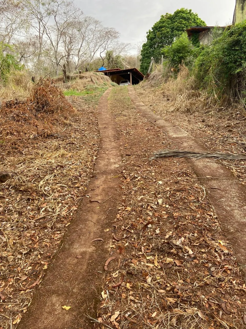 Chácara à venda de 4.628 m² em Araguari, MG, Brasil