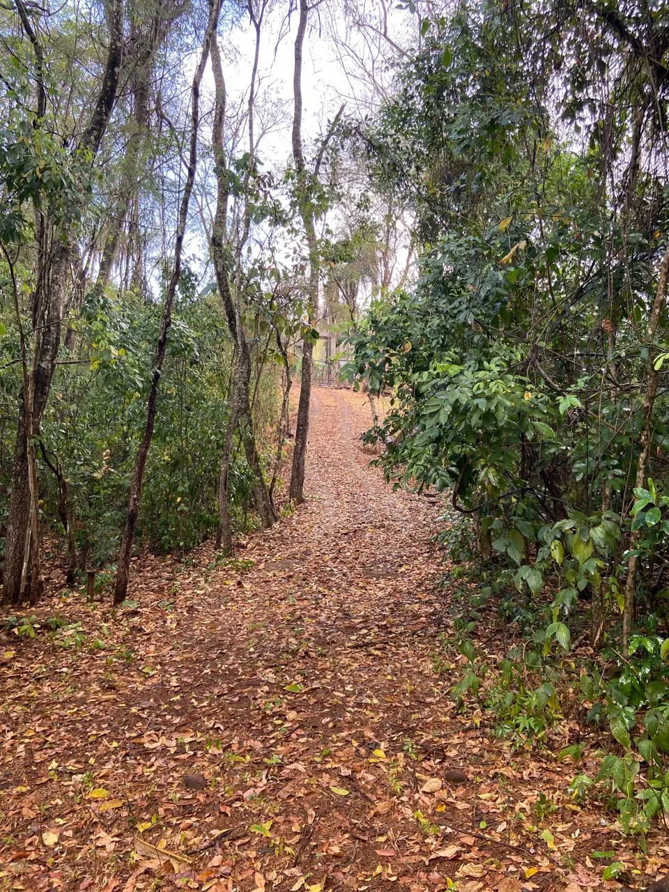Chácara à venda de 4.628 m² em Araguari, MG, Brasil