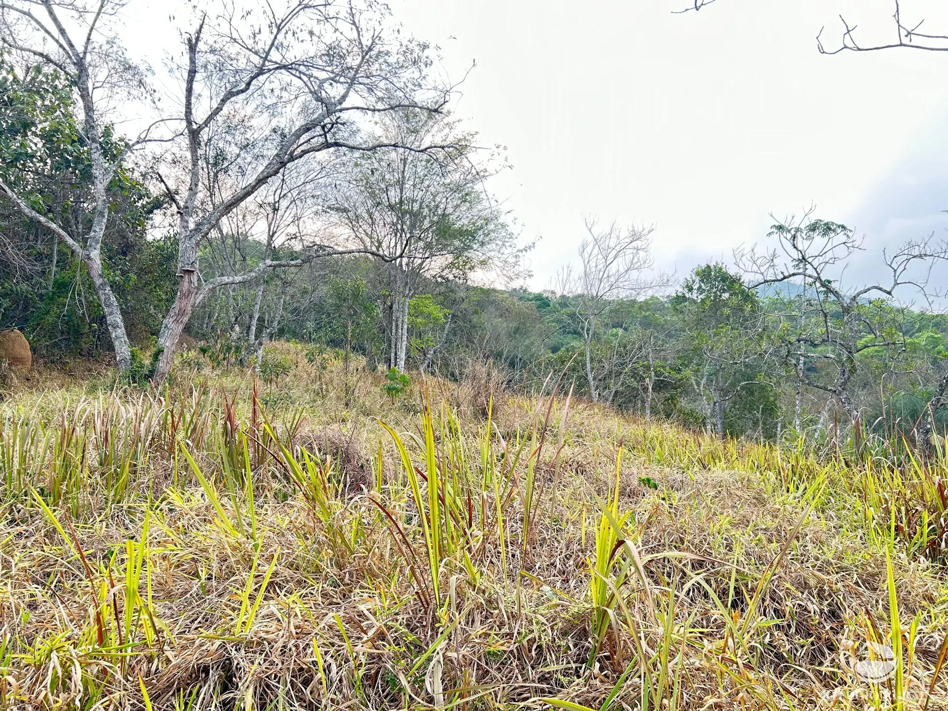 Sítio à venda de 24 ha em São José dos Campos, SP, Brasil