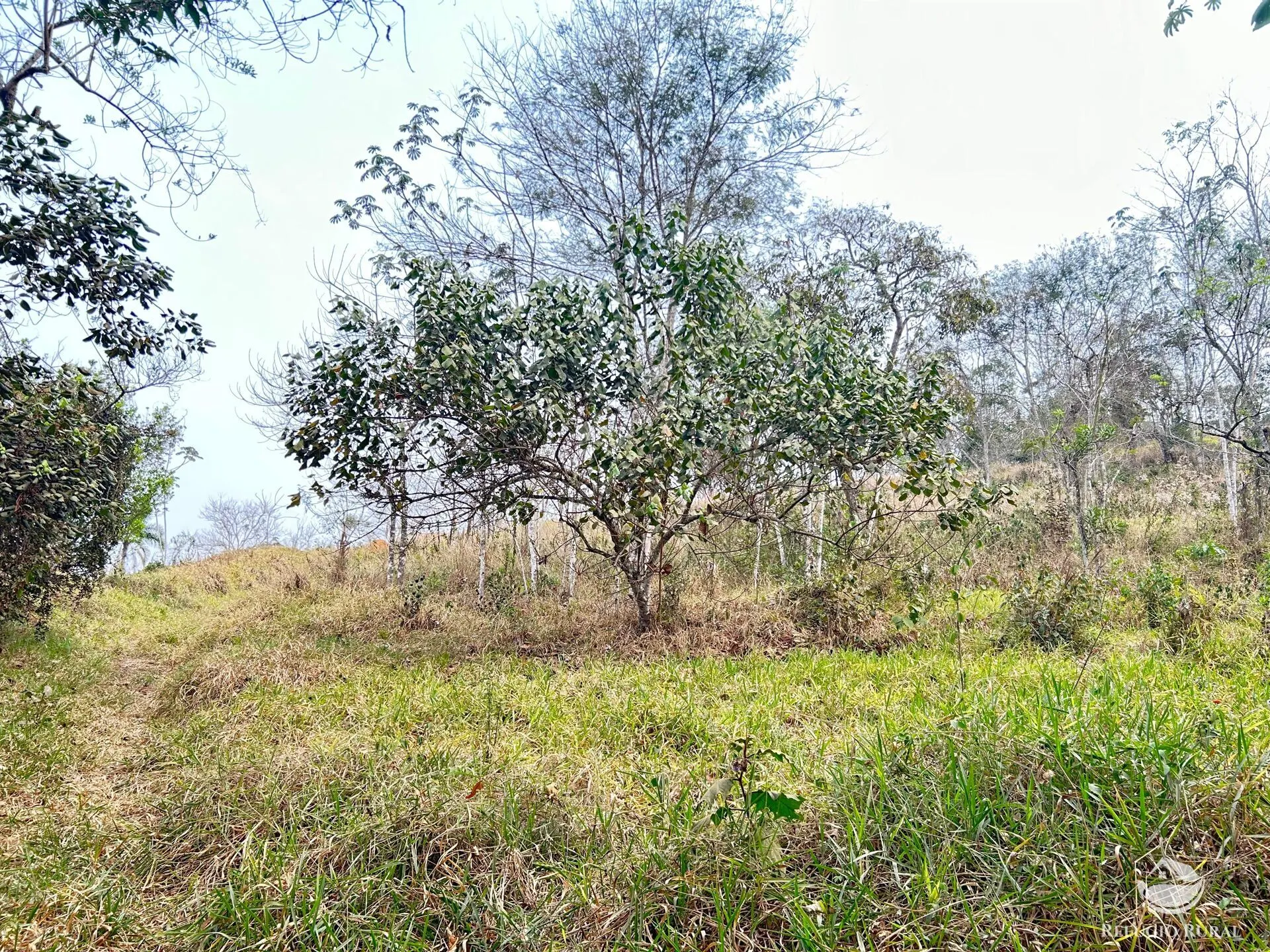 Sítio à venda de 24 ha em São José dos Campos, SP, Brasil