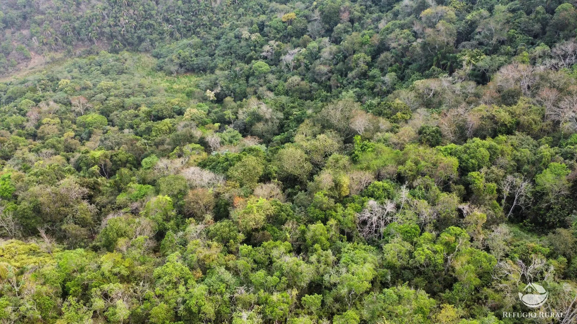 Sítio à venda de 24 ha em São José dos Campos, SP, Brasil