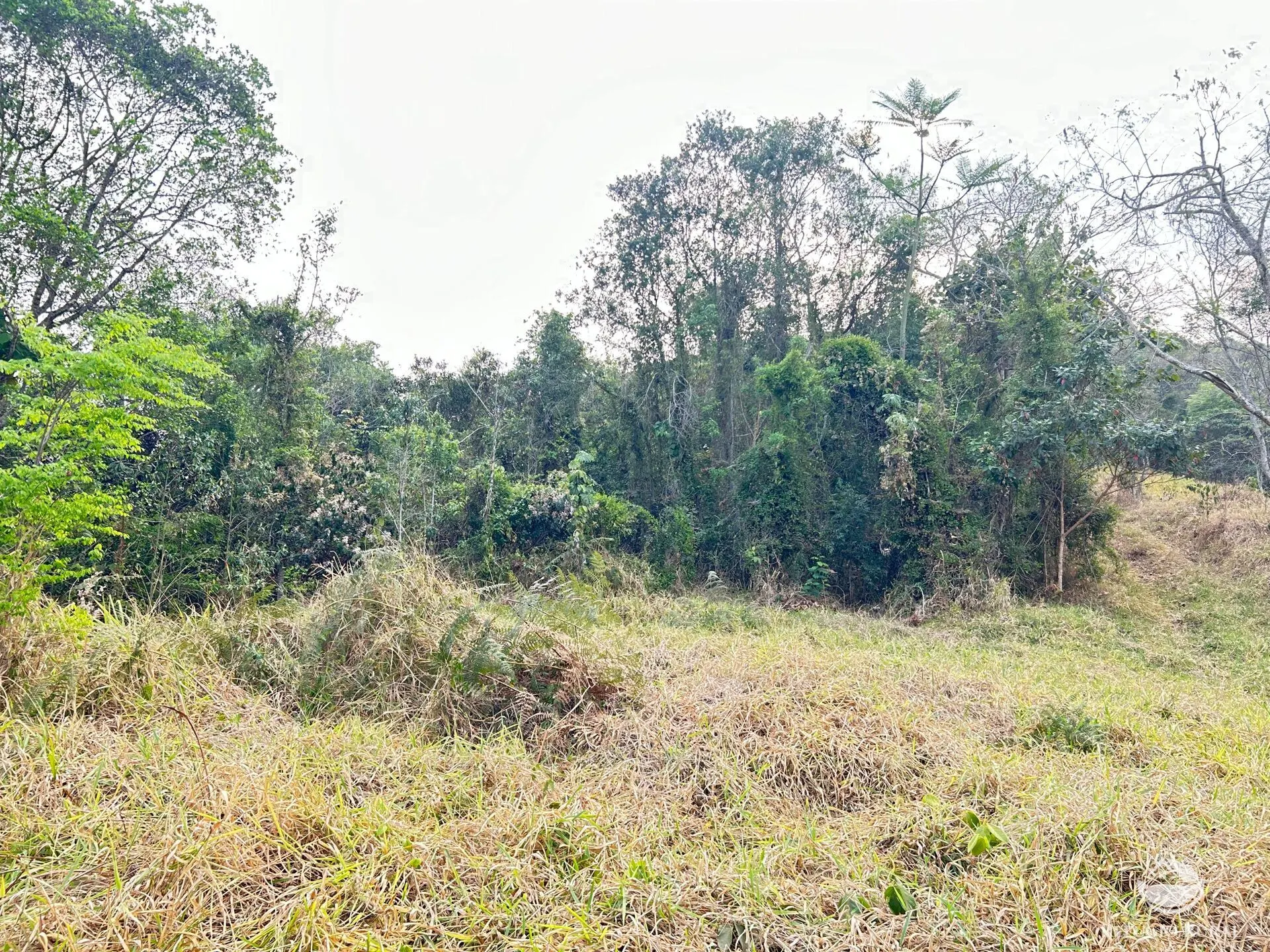 Sítio à venda de 24 ha em São José dos Campos, SP, Brasil