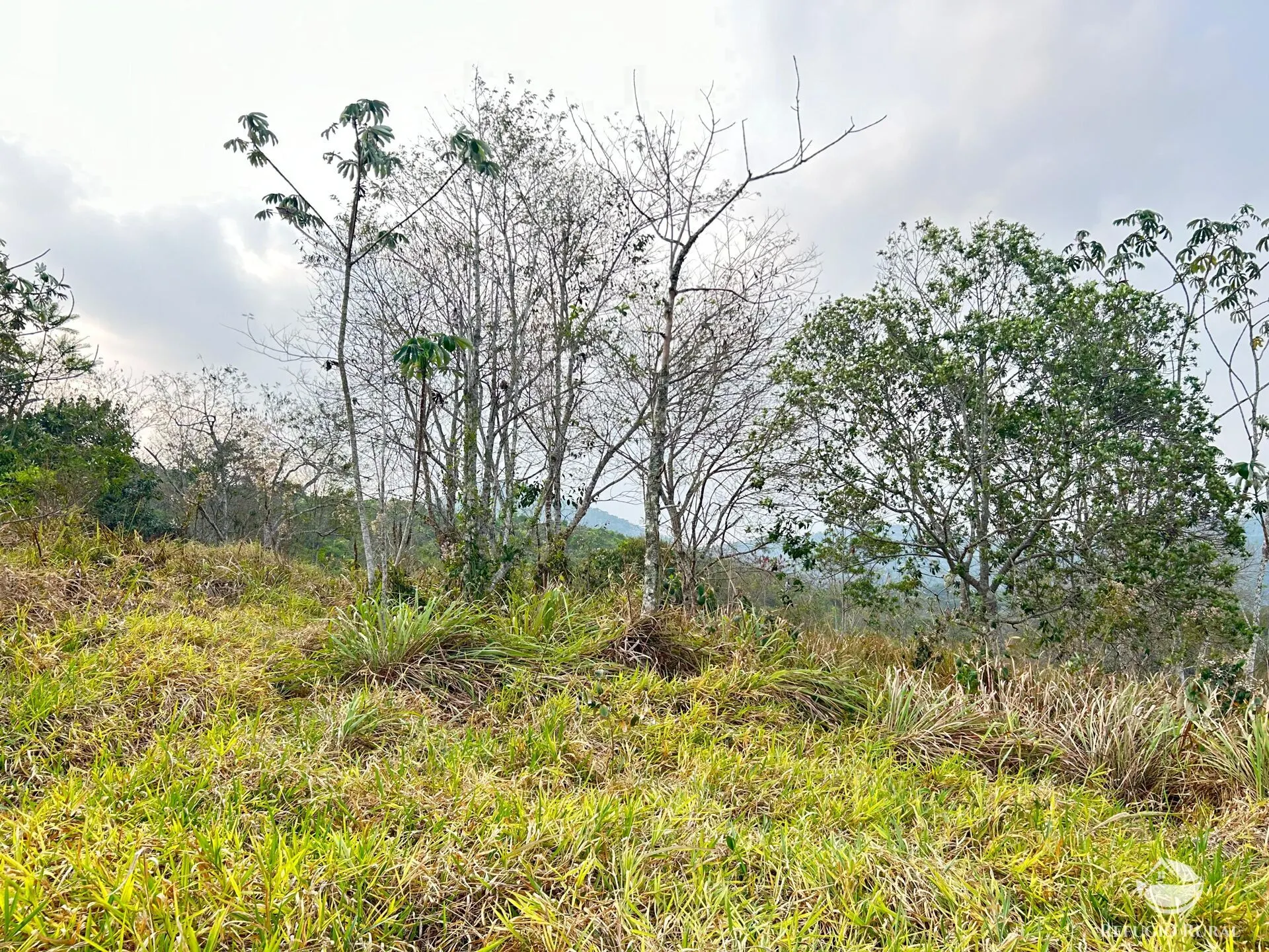 Sítio à venda de 24 ha em São José dos Campos, SP, Brasil