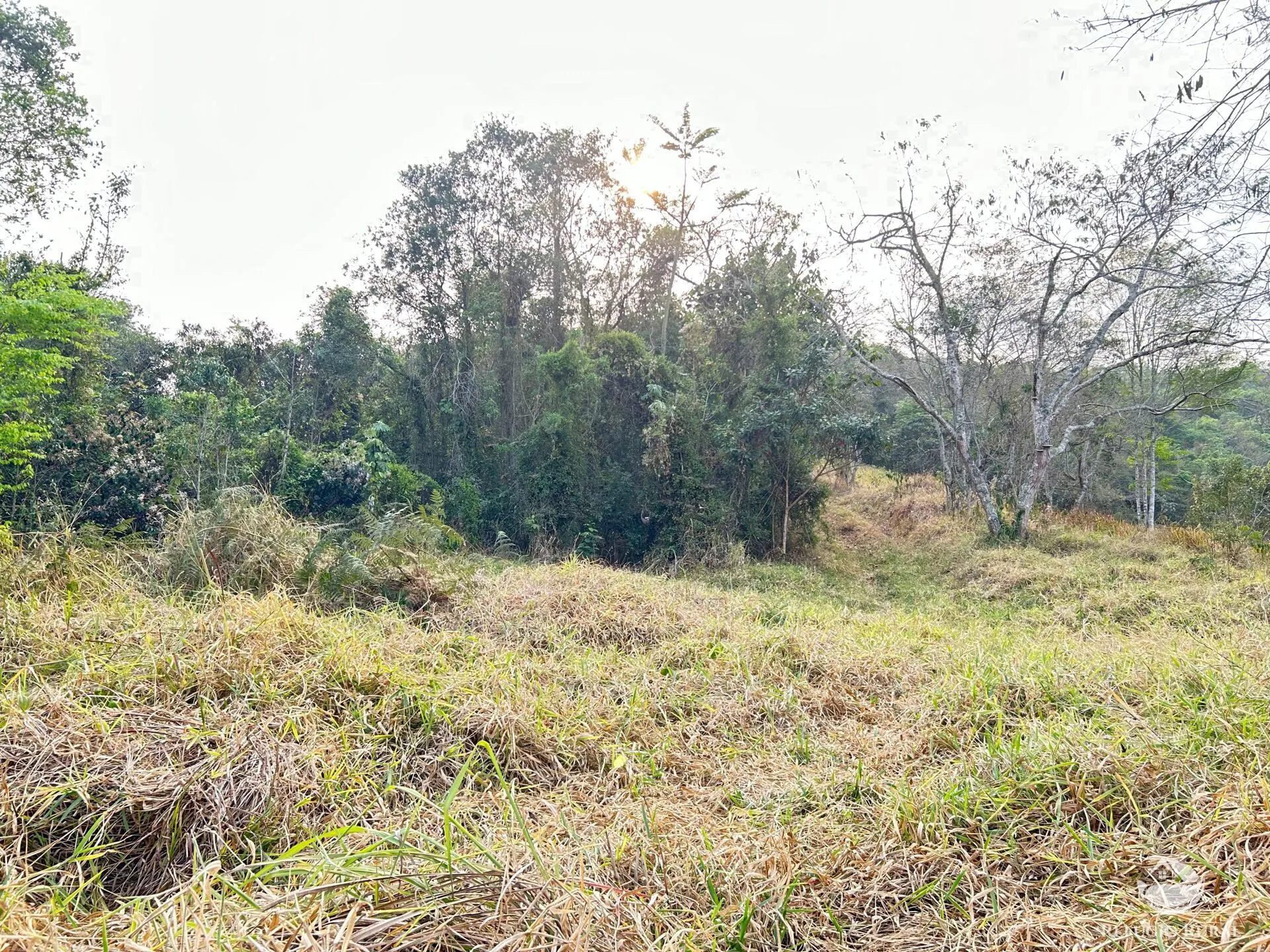 Sítio à venda de 24 ha em São José dos Campos, SP, Brasil