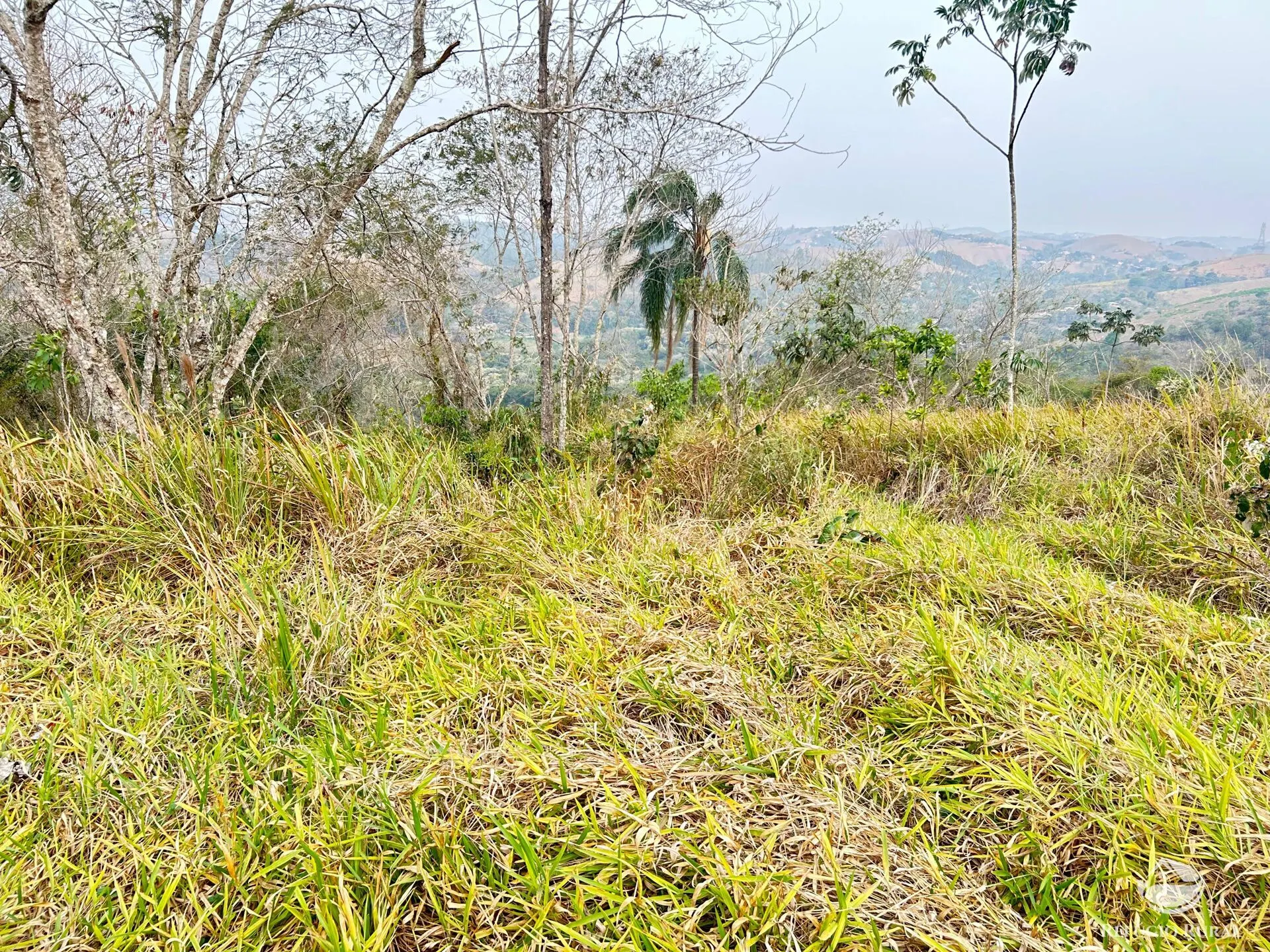 Sítio à venda de 24 ha em São José dos Campos, SP, Brasil