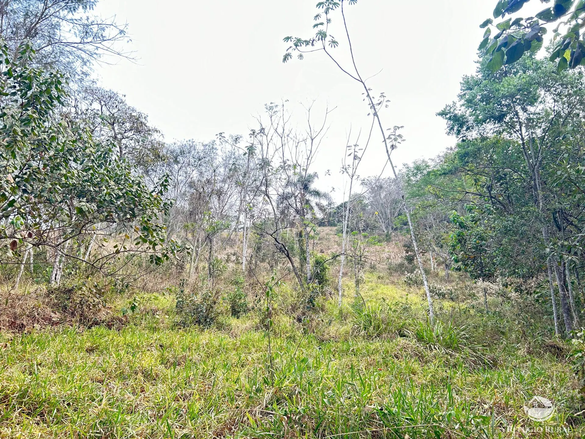 Sítio à venda de 24 ha em São José dos Campos, SP, Brasil