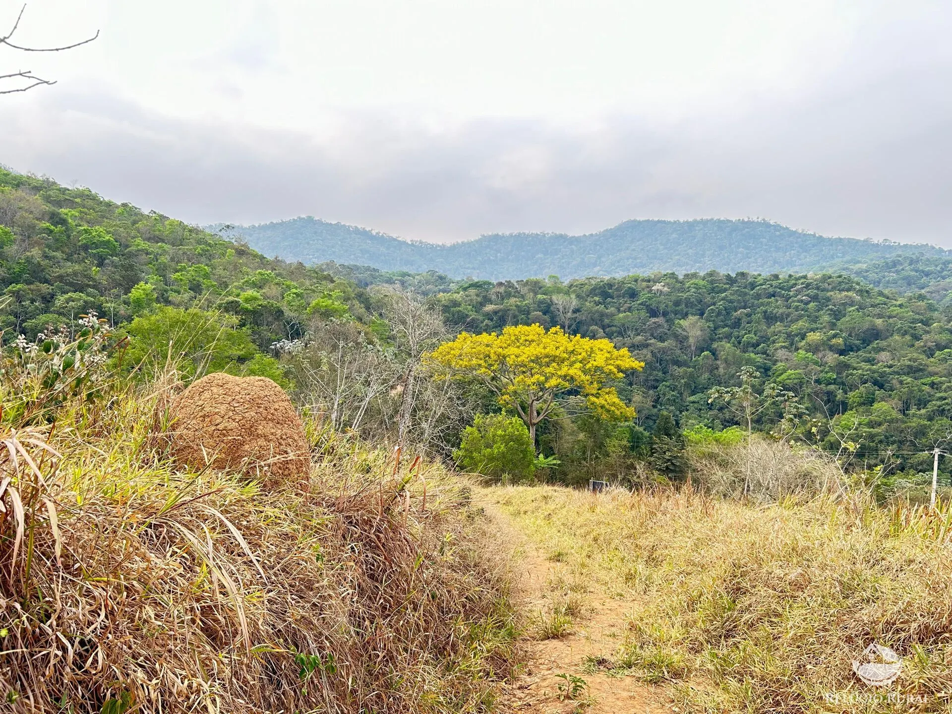 Sítio à venda de 24 ha em São José dos Campos, SP, Brasil