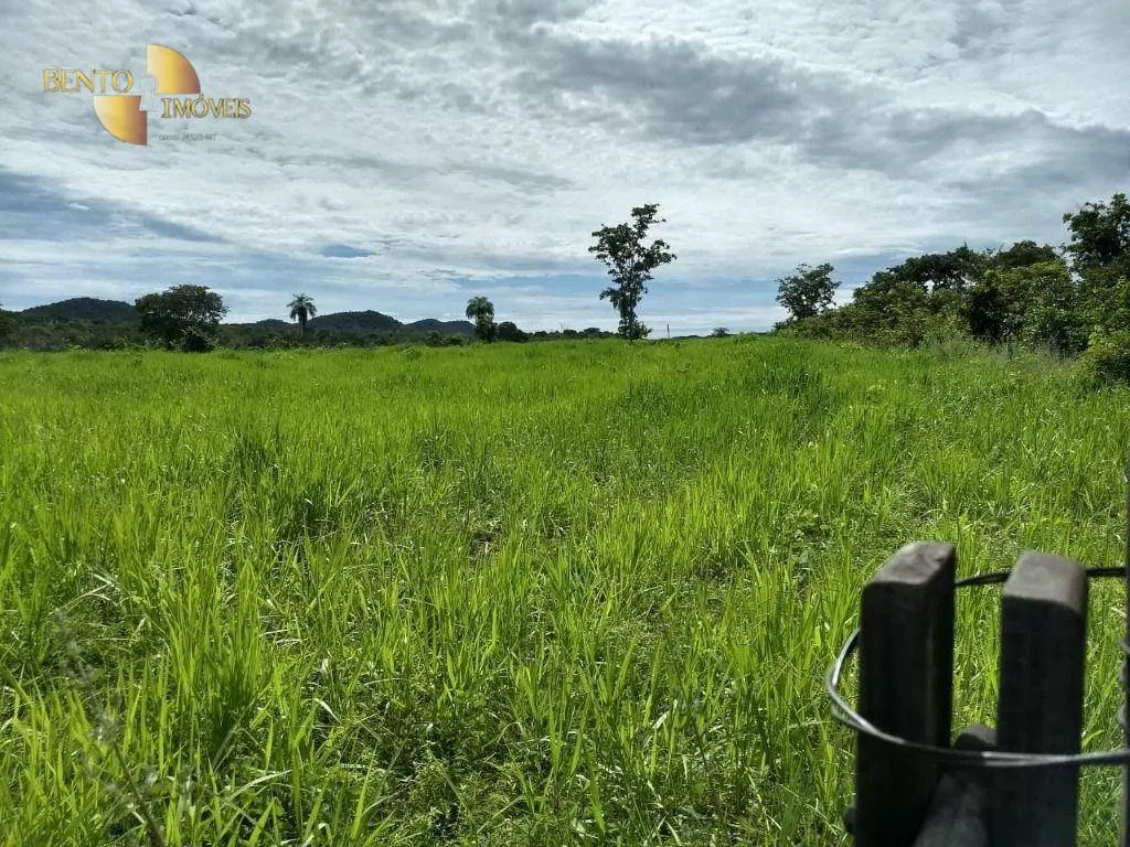 Fazenda à venda de 150 ha em Rosário Oeste, MT, Brasil
