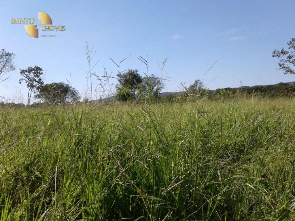 Fazenda à venda de 150 ha em Rosário Oeste, MT, Brasil